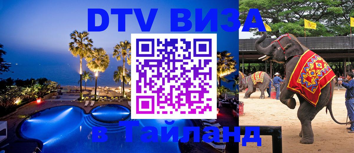 Оформление DTV визы под ключ: стоимость и тарифы, только загранпаспорт - Копейск 